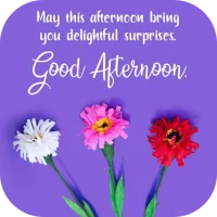 good afternoon wishes