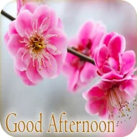 Good Afternoon Images 2024